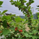 책헤는밤 이미지