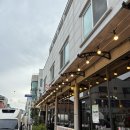 봉평메밀집 | 평창 봉평 닭강정집, 월이메밀닭강정 솔직 후기 (내돈내산)