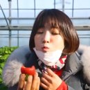 고향자녀농장 이미지