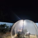 톨랑톨랑 이미지