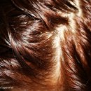 오렌지헤어샵 이미지