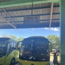 6328 | 보홀 칼라페 포레스트 리조트 후기(2026.02.16-17)