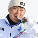 김상겸 카카오 검색결과