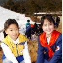 한국 청소년적십자 이미지