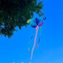 셀렉트디 이미지