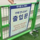 도그베이 다산지점 | 안성 애견수영장 원더풀도그베이