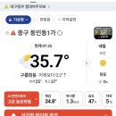 케이티에스 남대구점 | 대구 두두썸동 축제 후 찾은 평화시장 똥집골목 맛집 고인돌 모듬똥집과 뚝배기 찜닭 추천