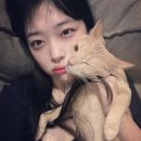 설레 이미지