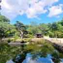 하늘종묘 이미지