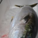 하모리-28 이미지