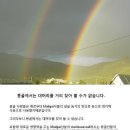 탈모비누(모리아새싹비누). 뉴스킨화장품. 건강식품 이미지