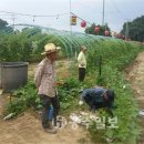 용봉산돌바위마을 이미지