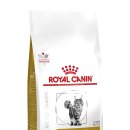 로얄펫동물병원 이미지