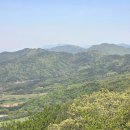 태청산농장 네이버블로그
