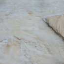 스타세탁·수선 이미지