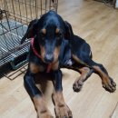 북문2길 이미지