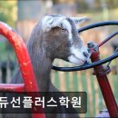 에듀선플러스학원
