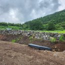 세미공인중개사사무소 이미지