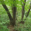 화당2리 이미지