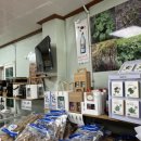 딸셋집민박 이미지