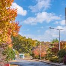 (주)팜스토리도드람비엔에프 음성 | 팜스토리도드람비엔에프음성 / 도드람비엔에프 / 팜스토리 / 충북음성