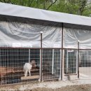 산들염소농장 이미지