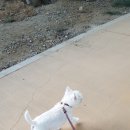 에이플러스세탁 이미지