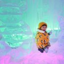 대관령 양떼마을 펜션 이미지