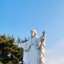 합덕전통시장 | 충남 당진 가볼만한 곳 합덕성당 천주교 성지