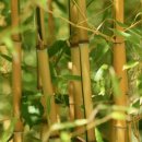 종은농장 이미지