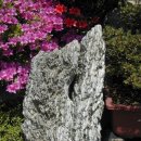 송석농장 이미지