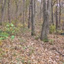 양산신-2017 이미지