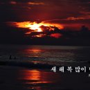 노벨라사 이미지