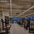 쌍둥이 휘트니스 이미지
