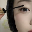 시크마르 이미지