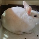 말바우동물병원 이미지