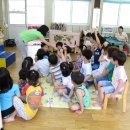 합포초등학교(병설유치원) Daum카페