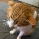 늘을2로27 이미지