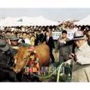 범 현대농장 이미지