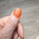 봉숭아꽃 ( 손톱에 물들이고 싶어) 이미지