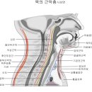 참사랑내과 이미지