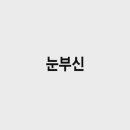 와일드컴퓨터 이미지