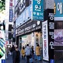 명애견센터 이미지