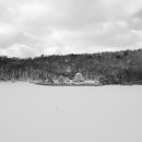 교래자연휴양림야영장 이미지