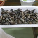 방학회센타 이미지