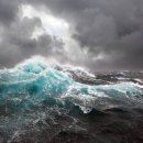 부산해양경찰서 이미지