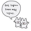 잠실모소리