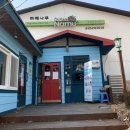 까페나무 이미지