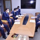 달빛조은 이미지