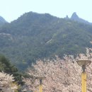 왕인박사유적지 이미지